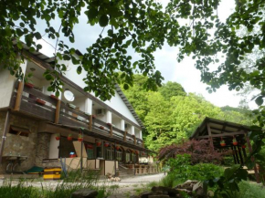 Hotel Osminog